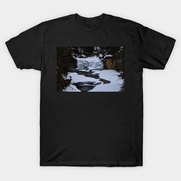 Ice Flow. T-Shirt by CanadianWild418